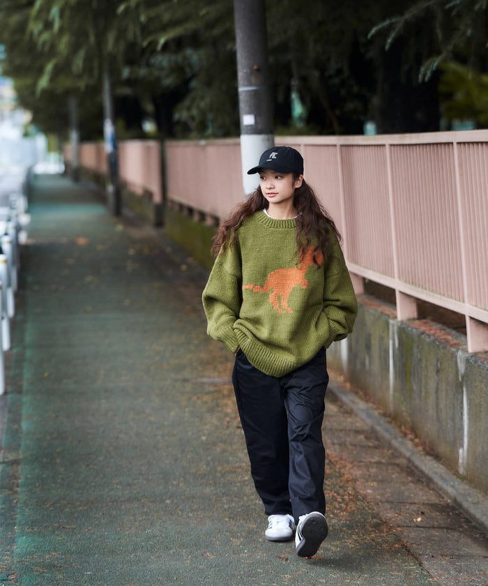 HAND KNIT【DINOSAUR】