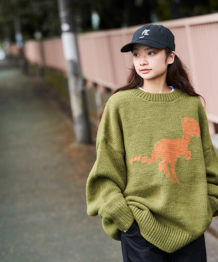 HAND KNIT【DINOSAUR】