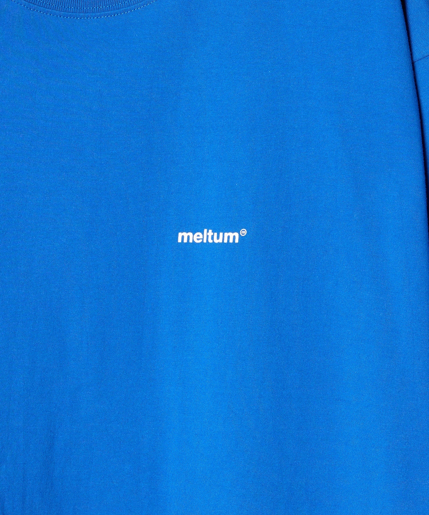 SOUVENIR TEE S/S