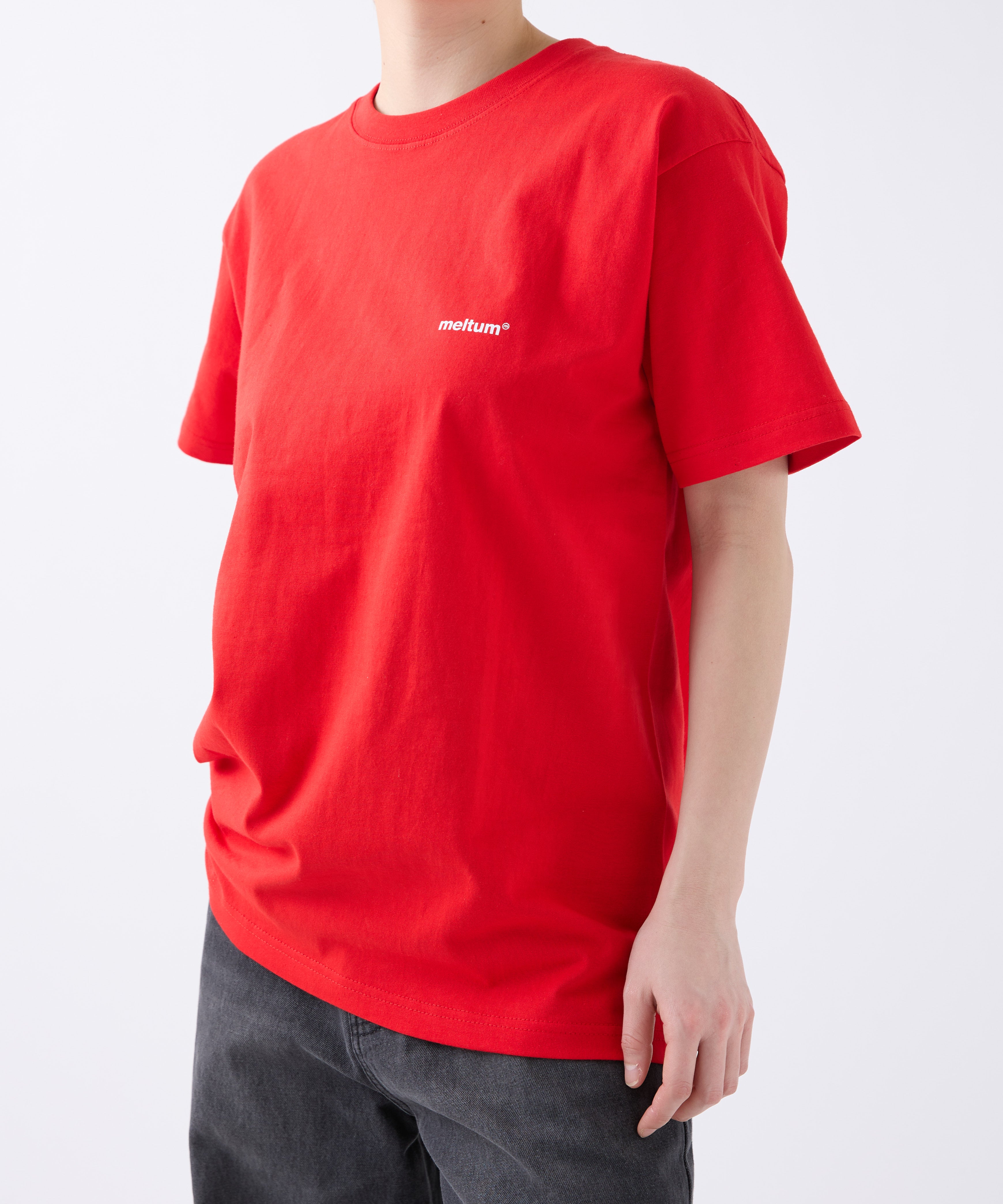 SOUVENIR TEE S/S