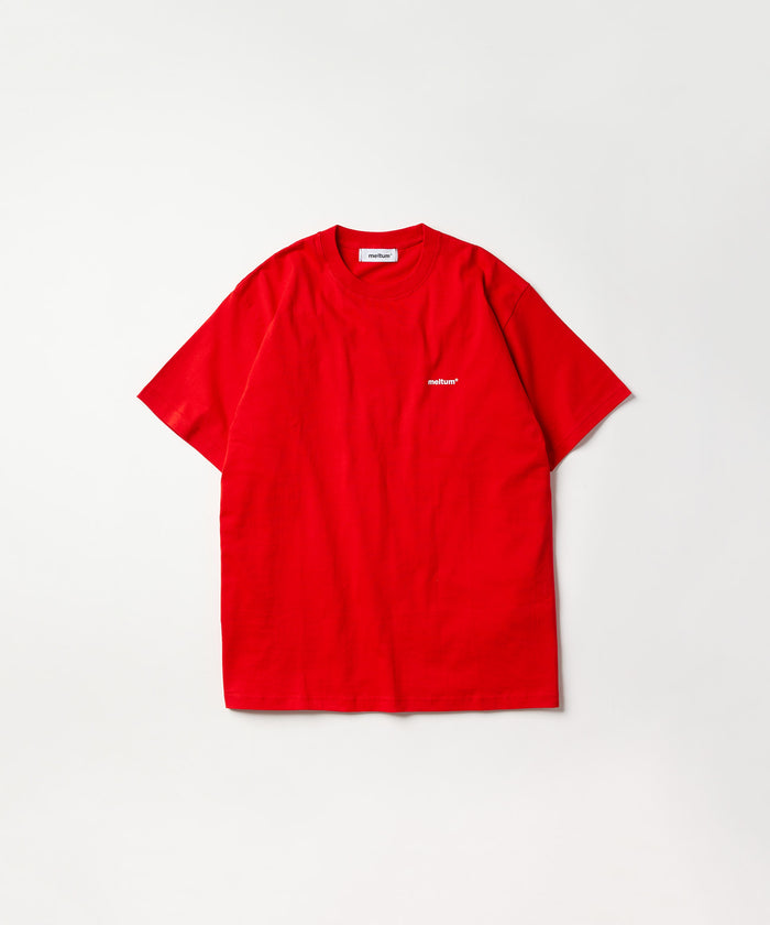SOUVENIR TEE S/S