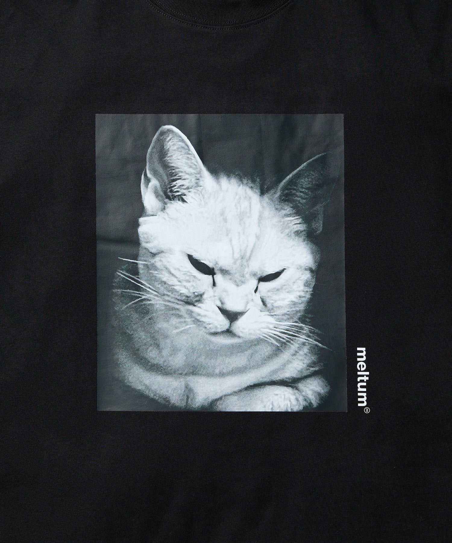 meltum Exclusive CAT S/S Tee [Peco]