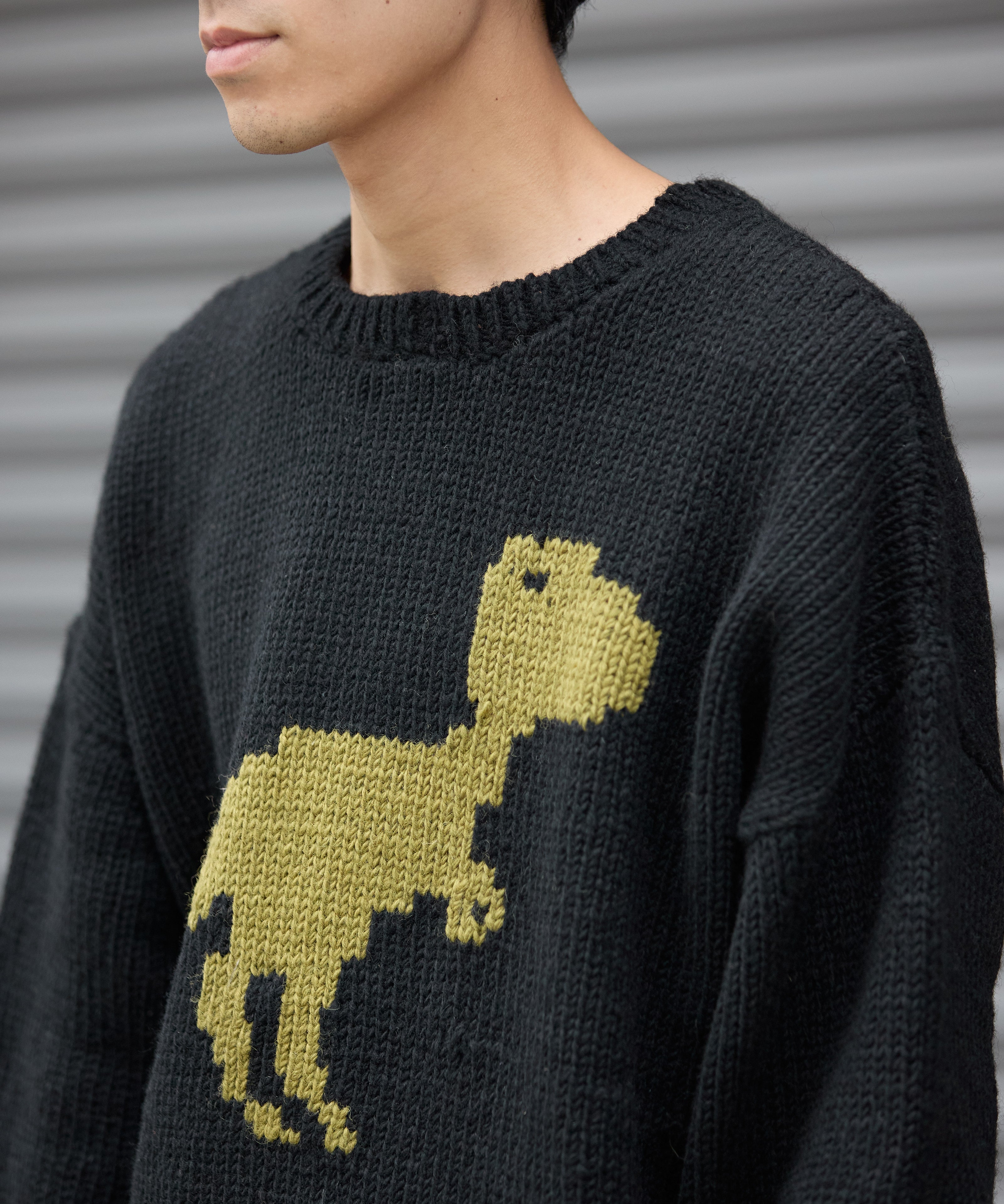 HAND KNIT (DINOSAUR) 【BLACK】